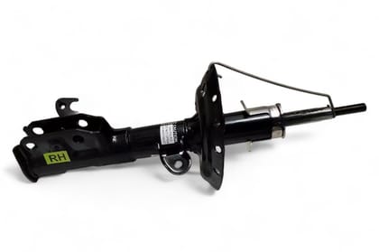 Gabriel Front Suspension Strut - RH AV937921