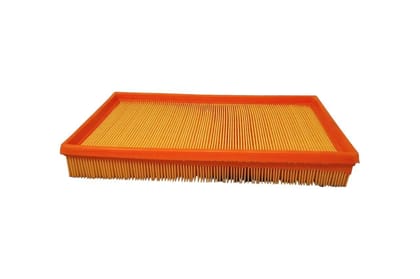 Elofic Air Filter AV808903